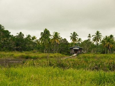 Pilot? Evangelist? Accountant? Come to the Amazon!