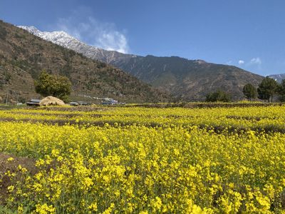 Serve short-term in the Himalayas