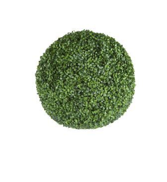 green boxwood ball