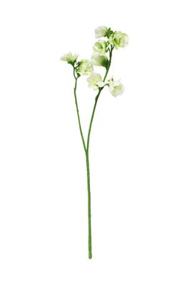 flowers sweet pea 40cm