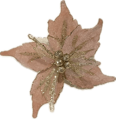 pink velvet/gold organza poinsettia