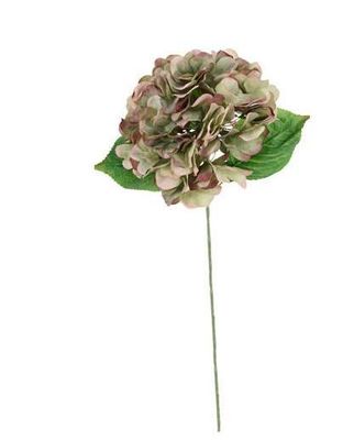 elodie hydrangea green/mauve