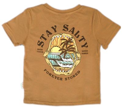 Boys / Kids LB Ts / Shark Scenic / Latte
