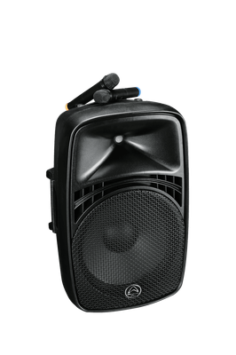 Portable PA system - speaker + microphone
