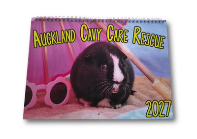 2027 ACCR Calendar