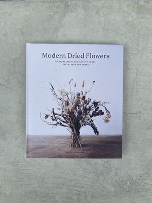 Modern Dried Flowers by Angela Maynard
