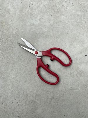 Ars Floral Scissors - FL-18-BP