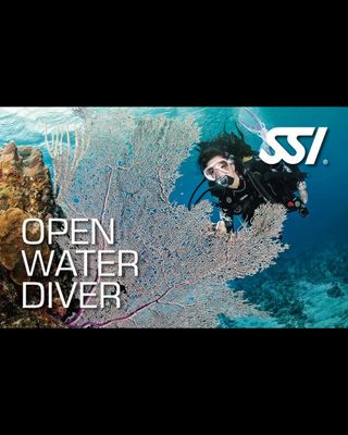 SSI OPEN WATER DIVER COURSE