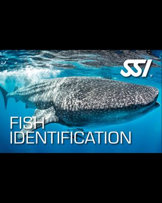 SSI FISH IDENTIFICATION COURSE