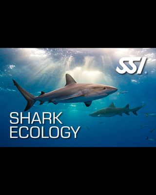 SSI SHARK ECOLOGY COURSE