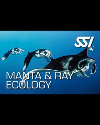 SSI MANTA AND RAY ECOLOGY COURSE