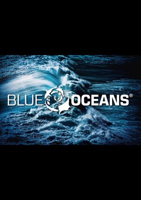 SSI BLUE OCEANS COURSE