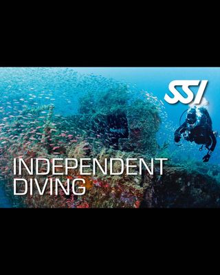 SSI INDEPENDENT DIVER COURSE