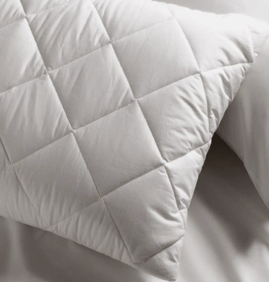 Eco Linen Organic Pillow Protector