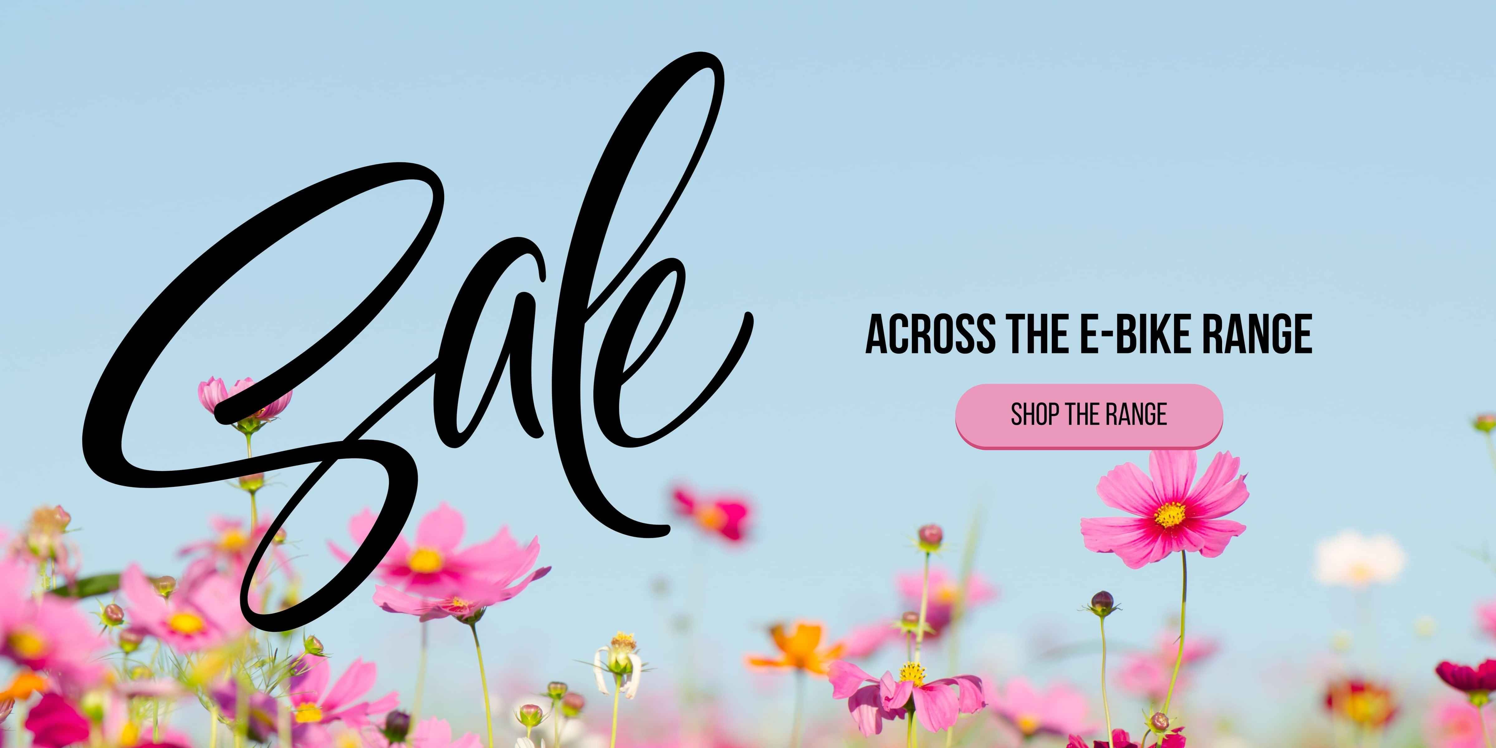 Clearance Sale