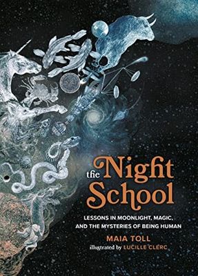 The Night School by Maia Toll
