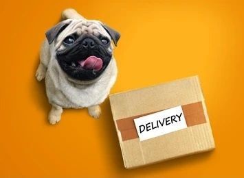 Raw Dog Food Local Delivery - Christchurch
