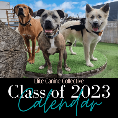 Class of 2023 Calendar PRE ORDER