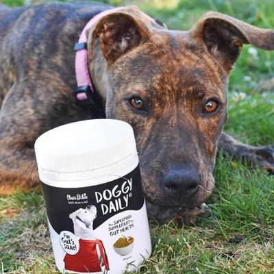 Doggy Daily Immunity Boost Supplement - 250g