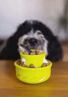 Messy Mutts Mushroom Puzzle &#039;n Play