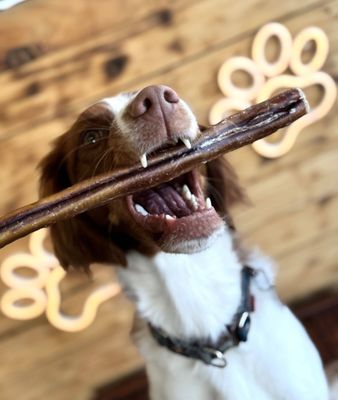 Bull Pizzle Bully Sticks