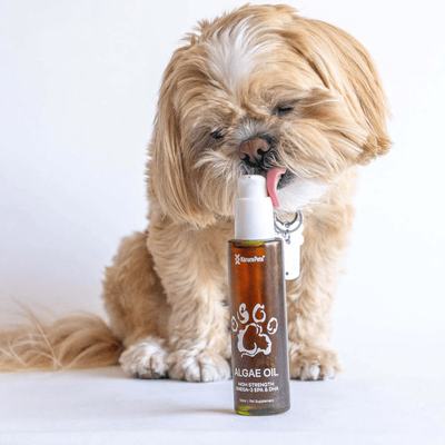 Korure Pets Algae Oil 120ml