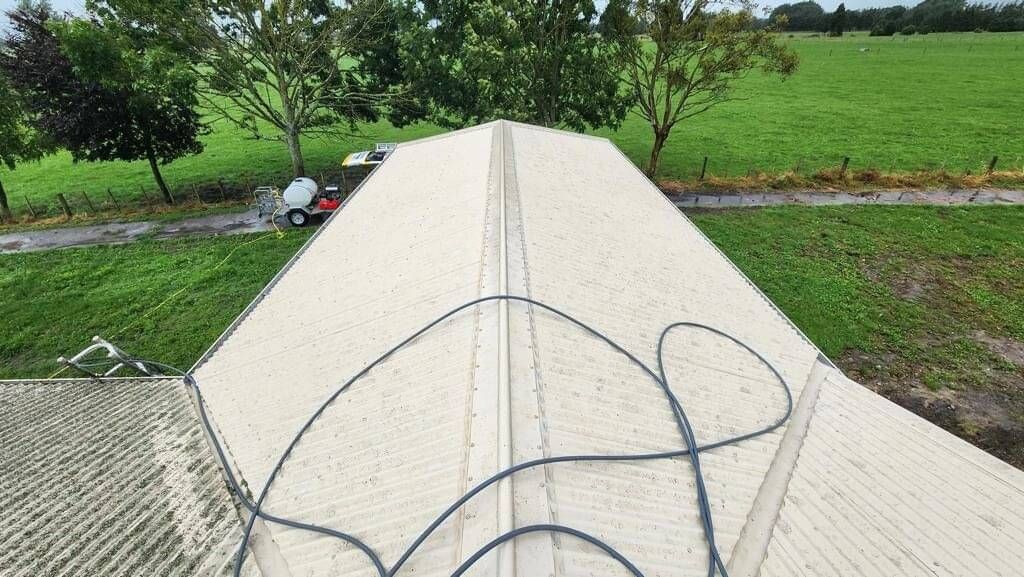 Roof moss being cleaned