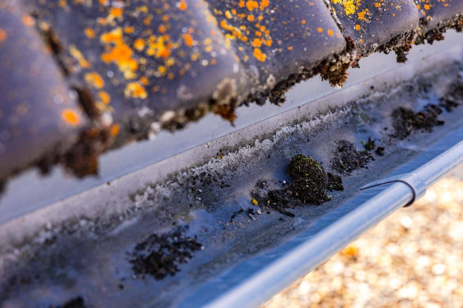 DryGutts gutter cleaning Hamilton
