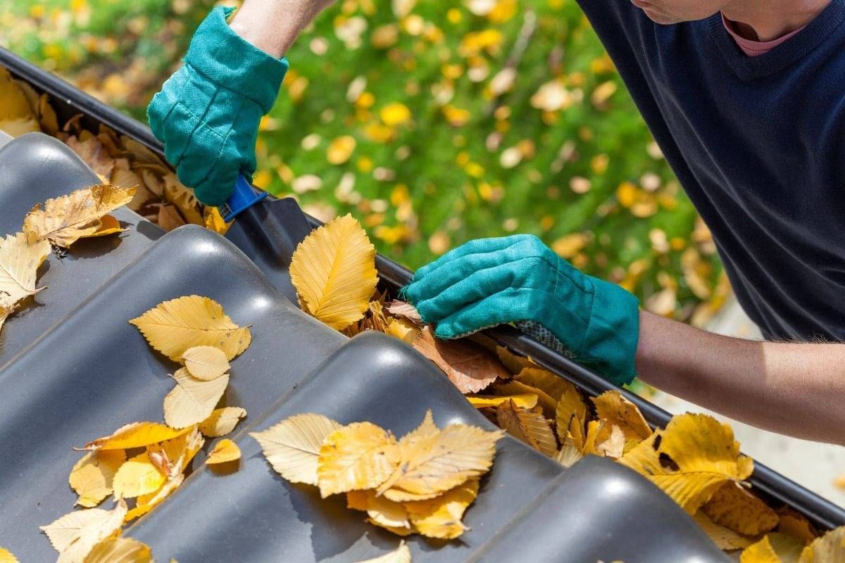 DryGutts gutter cleaning Hamilton