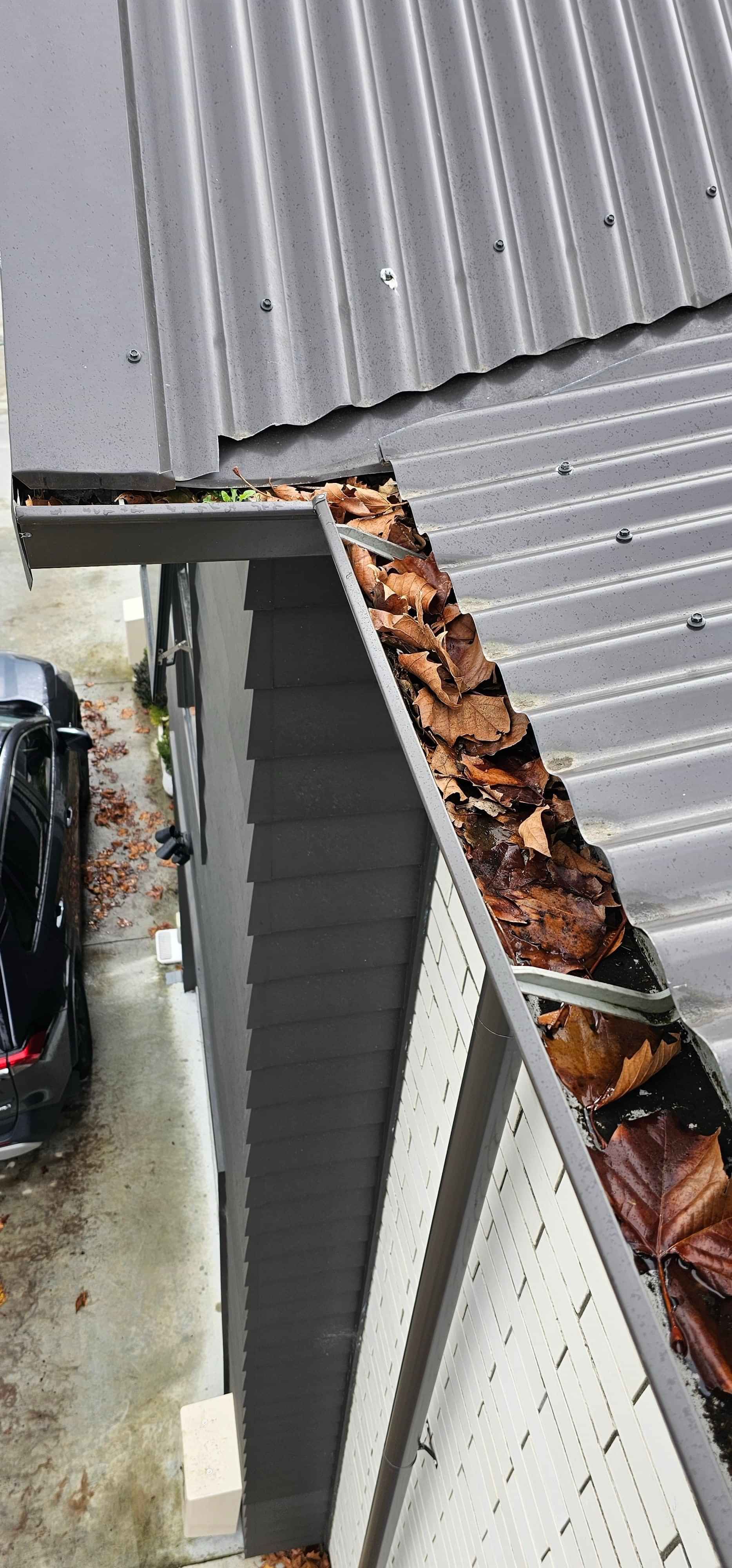 DryGutts gutter cleaning Hamilton