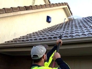 Roof moss treatment by Dry Gutts