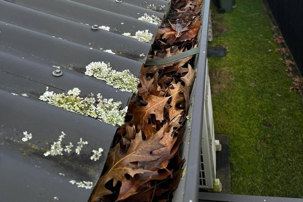 Gutter cleaning Te Awamutu property