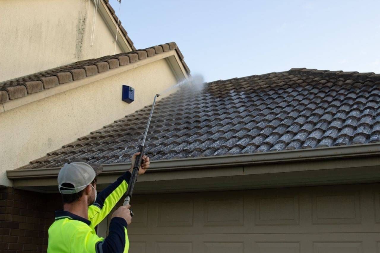 Roof moss treatment by Dry Gutts