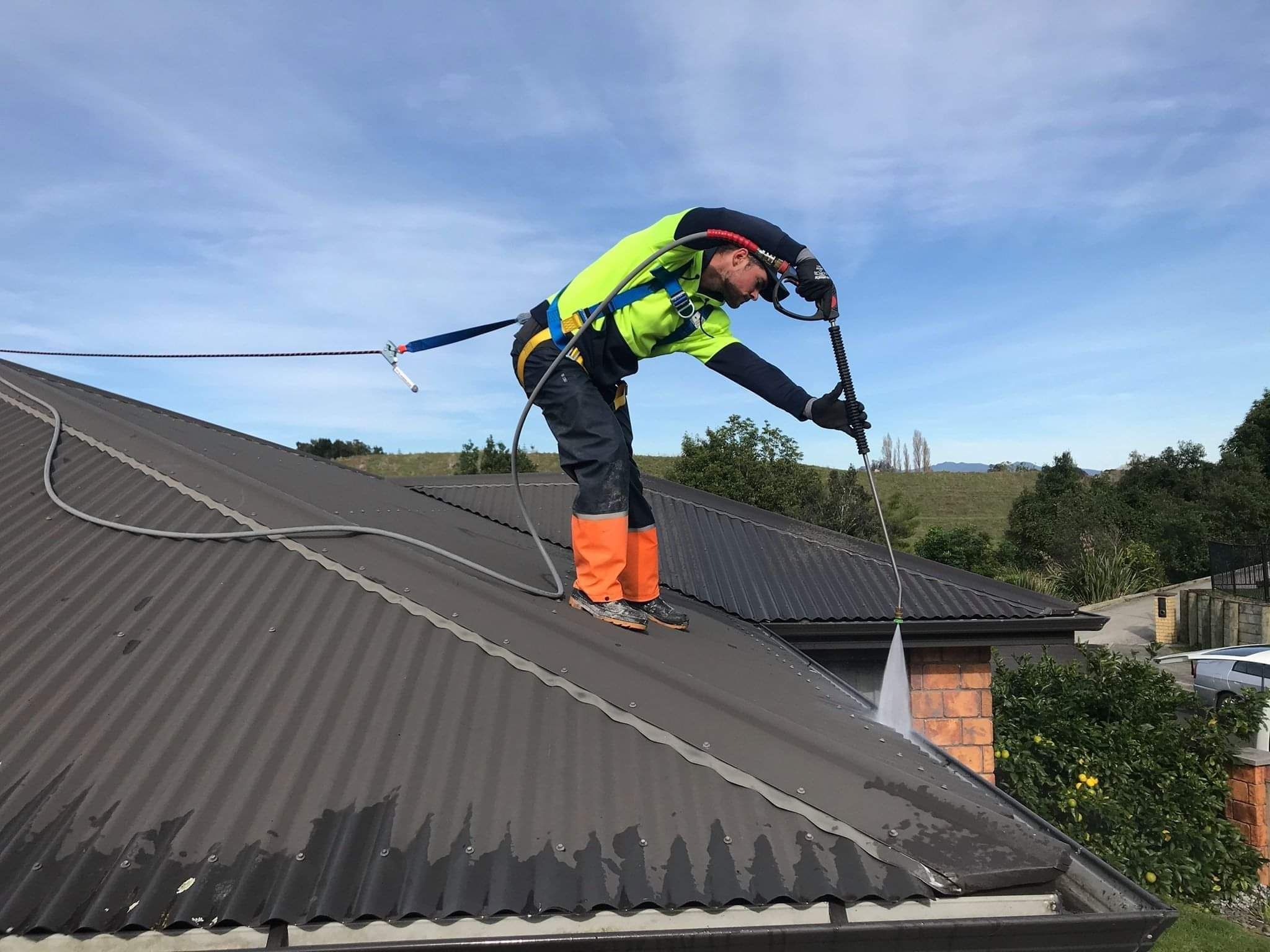 DryGutts roof cleaning Hamilton