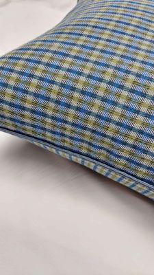 Tamar Check #2 Cushion