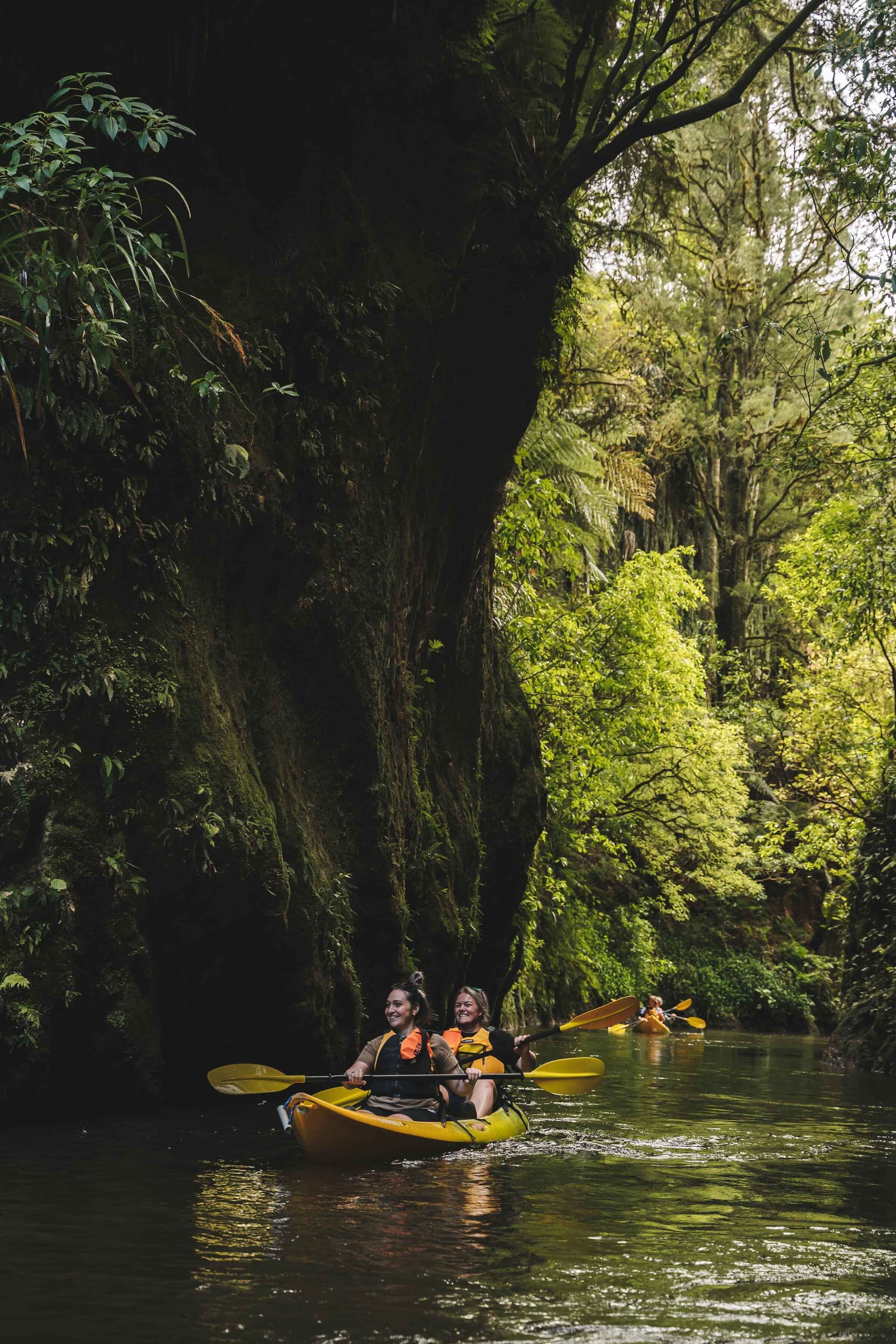 Day time kayak tours on Lake Karapiro with Riveside Adventures Waikato (formerly Lake District Adventures)