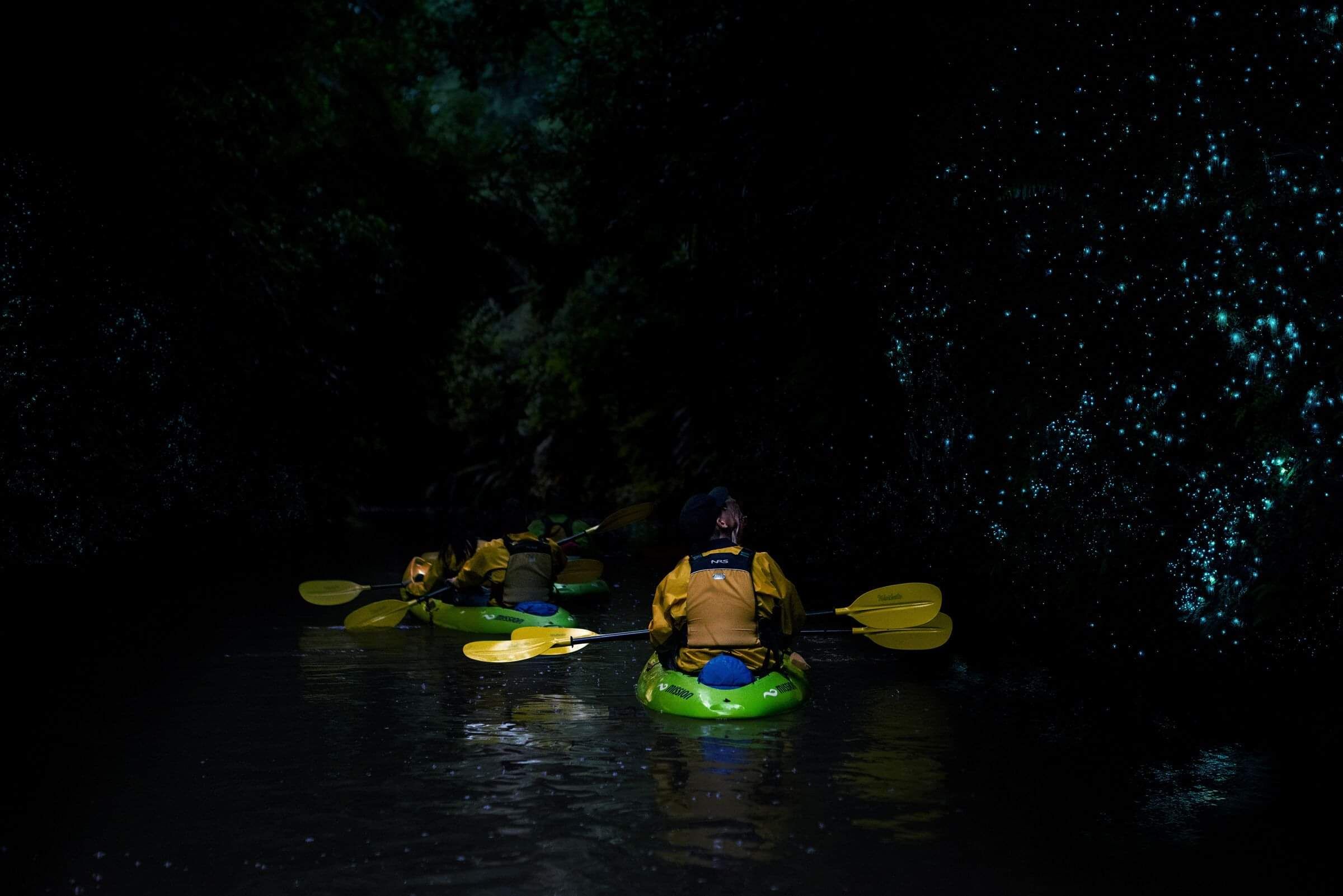 Twilight Glowworm Kayak Tours | Riverside Adventures Waikato, Lake Karapiro kayaking