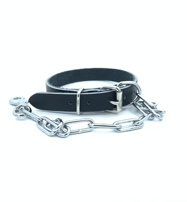 Dog Collar - Leather Drovers - With Chain