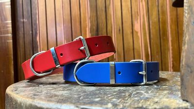 Dog Collars - Coloured Leather