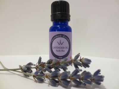 Lavender Oil PACIFIC BLUE