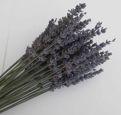 Dried Lavender Bunch