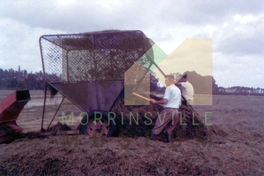 Photo - Making silage in 1963