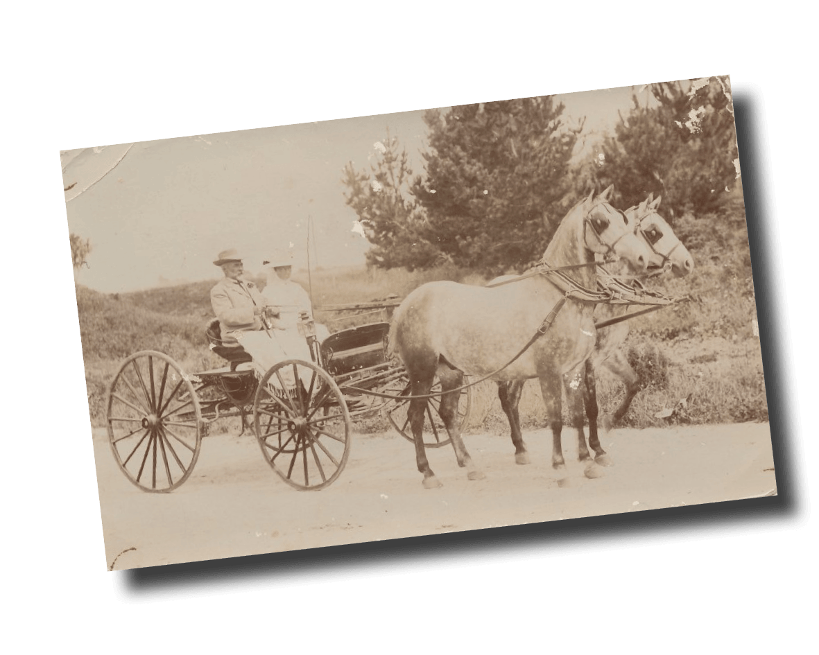 If you are looking for family history, working on a school homework, writing a thesis or an article for a publication, Morrinsville Museum may have th