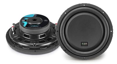 1.10SD  10&quot;/250 mm 4+4 Ohm (1.10SD4) and 2+2 Ohm (1.10SD2) Subwoofers