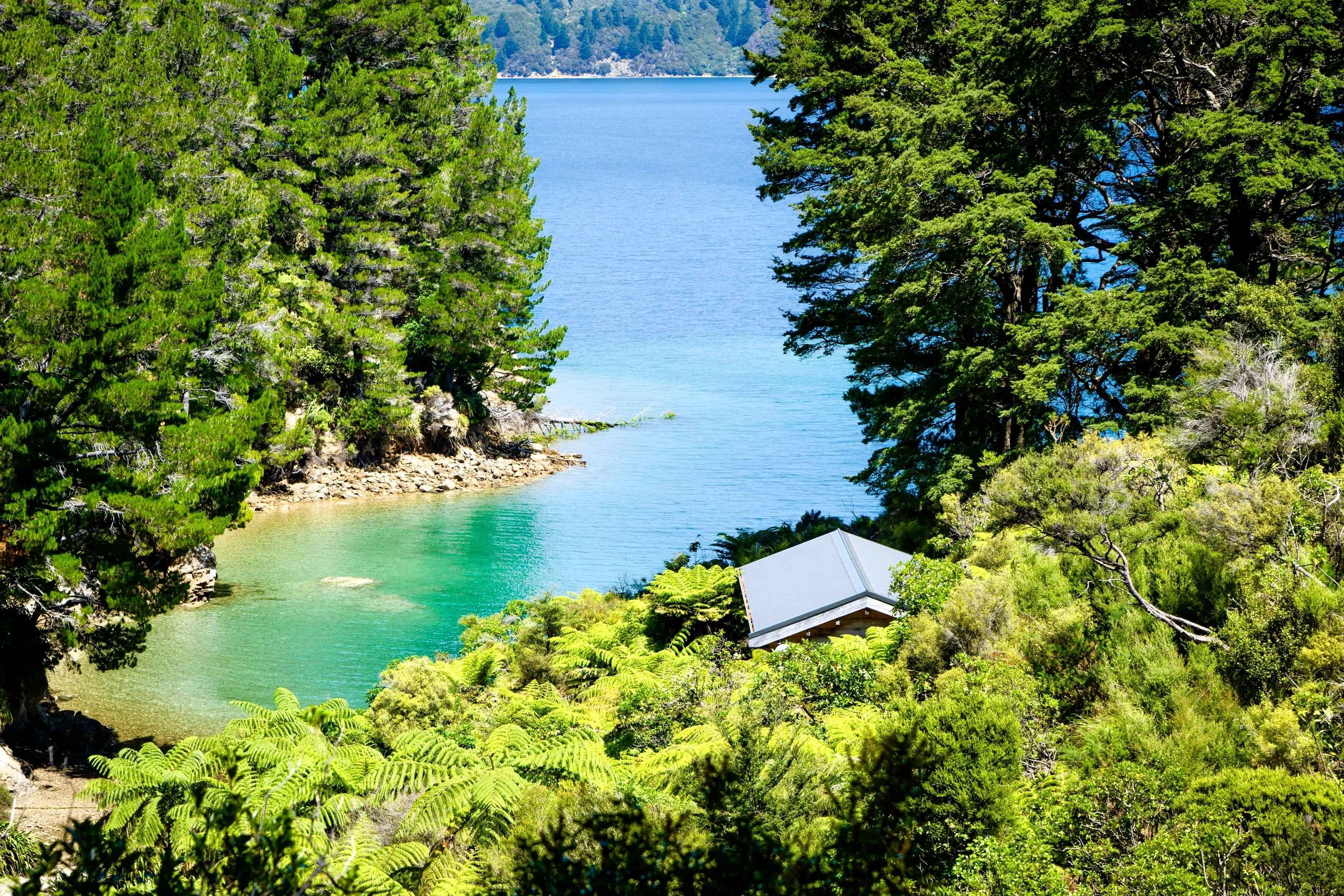 Tawa Cove Cabins waterfront accommodation in Endeavour Inlet, Marlborough Sounds