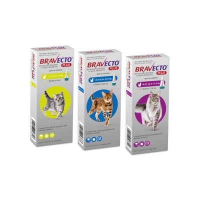 Bravecto Plus Feline Flea Worm Tick Treatment  |  Spot-on treatment 3 months