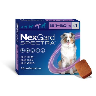 Nexgard Spectra  |  Chewable flea and worm treatment for dogs
