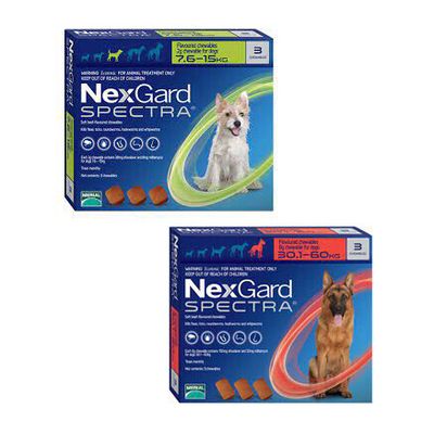 Nexgard Spectra  Chewable flea and worm treatment for dogs, Flea and worm  treatments