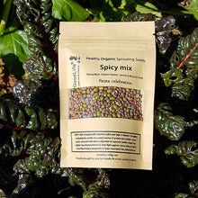 Sprouting Seeds - Spicy Mix 100grm Regular price
