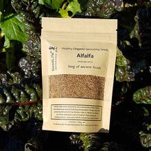 Sprouting Seeds - Alfalfa 100grm